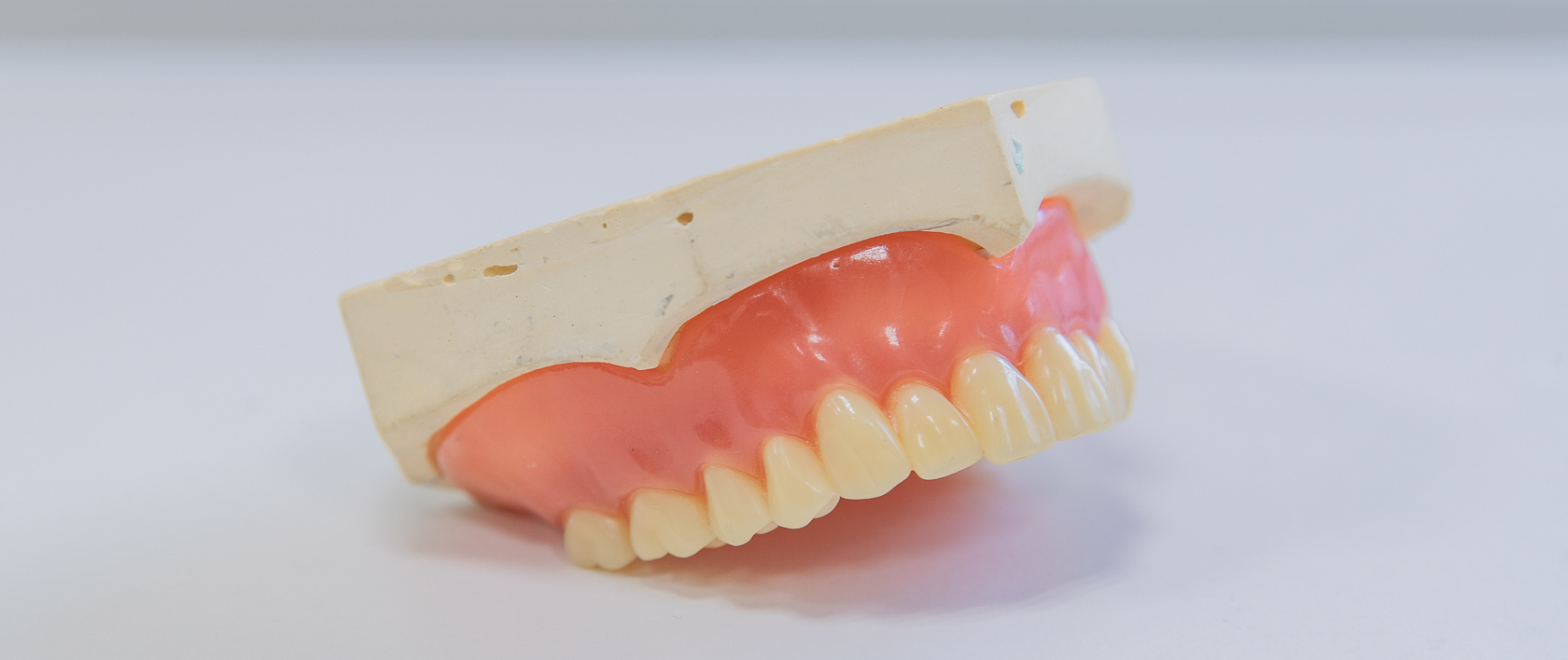 「入れ歯を育てる」ということについて詳しく教えてください