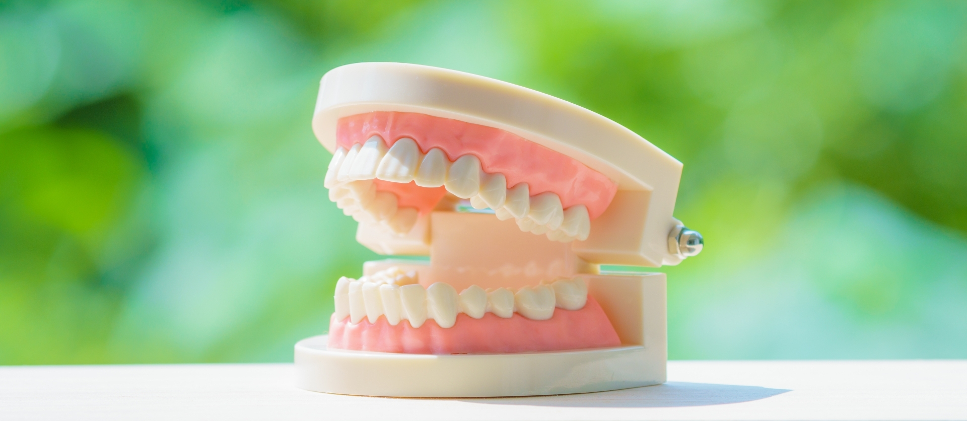 入れ歯が目立つ原因